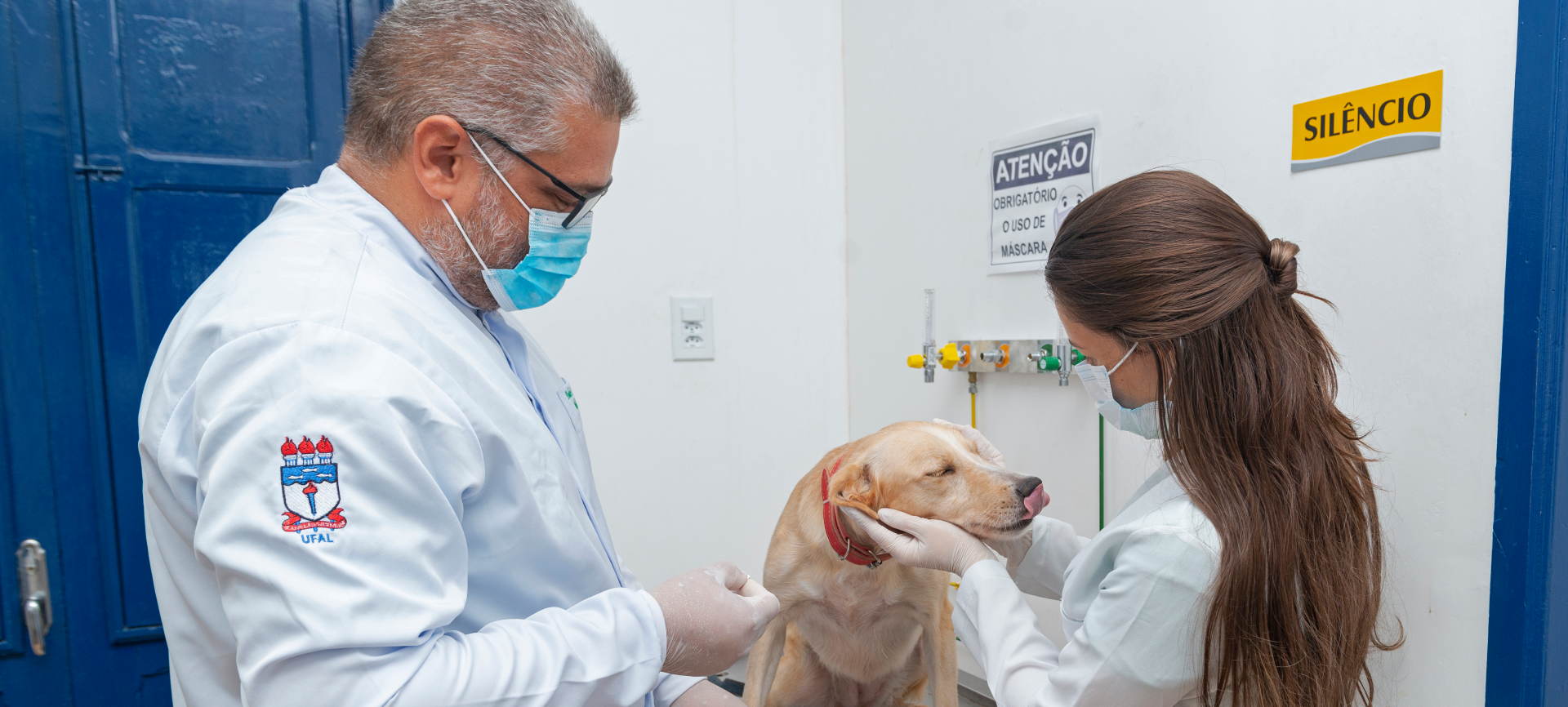 Programa de Apoio aos Animais