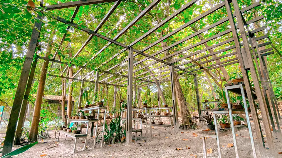 Estação ambiental cinturão verde 4