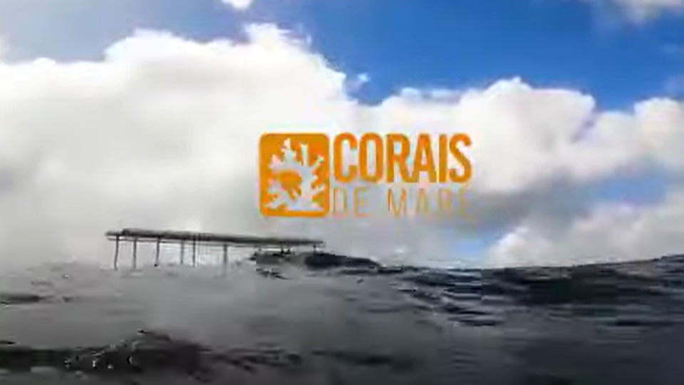 Projeto Corais de Maré