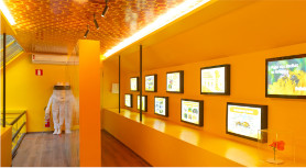 Casa das abelhas é novo espaço de visitação do cinturão verde