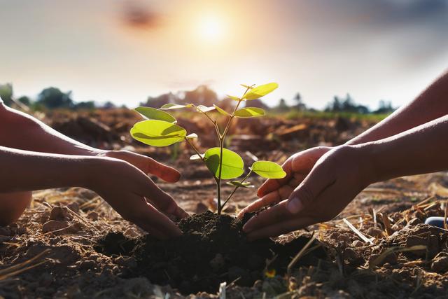 Com metas de desenvolvimento sustentável da ONU, Braskem combina inovação e tecnologia para reciclar resíduos plásticos