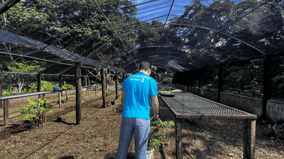 Gincana de Voluntariado beneficia mais de mil pessoas na Bahia
