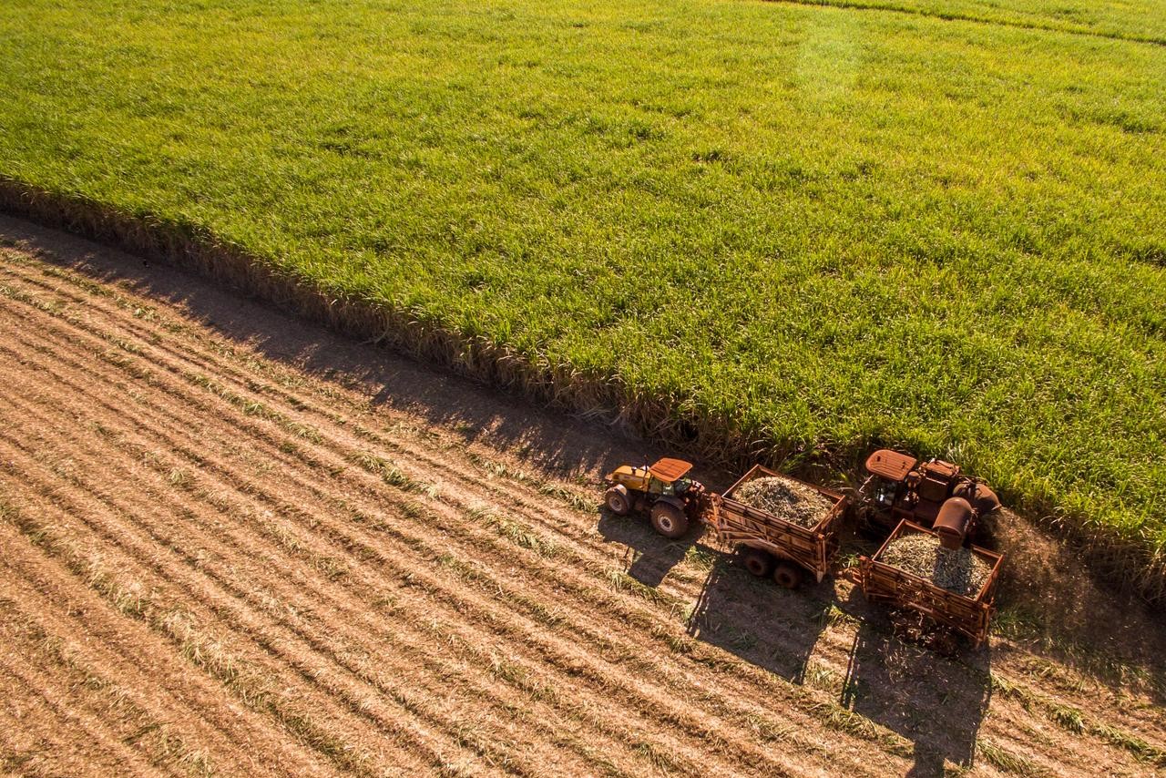Brasil é destaque em Conferência Internacional sobre Agricultura de Baixo Carbono na Tailândia
