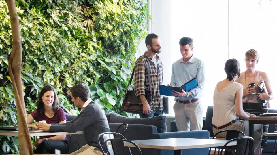 Braskem abre inscrições para programa de capacitação de empreendedores em Cubatão