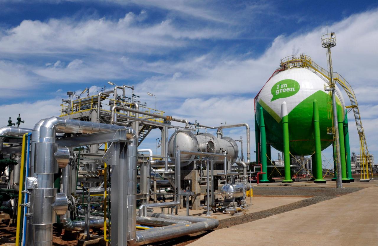 Braskem to become the first chemical company in Brazil to receive the Verde Brasil  Label