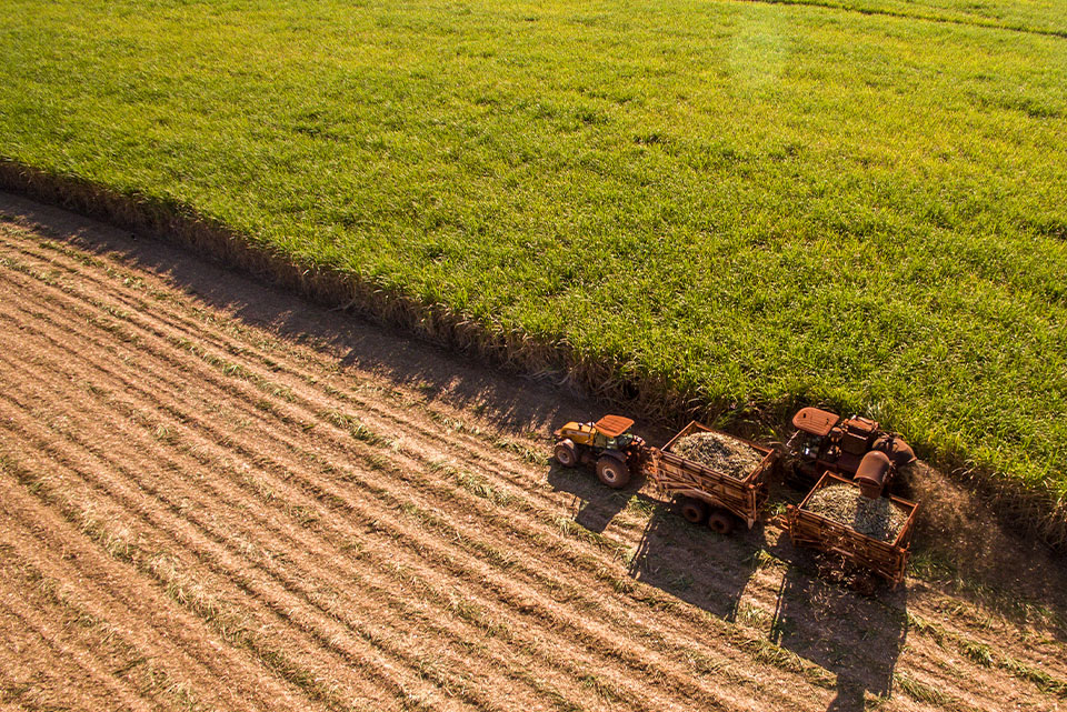 Responsible Ethanol Sourcing