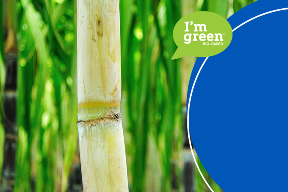 Can plastic derived from sugarcane really reduce carbon emissions?