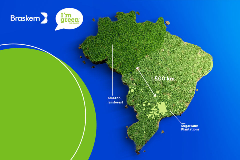 Does Brazilian sugarcane production have a negative impact on the Amazon rainforest?