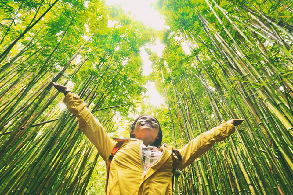 Doesn't the monoculture and expansion of sugarcane farms damage biodiversity?