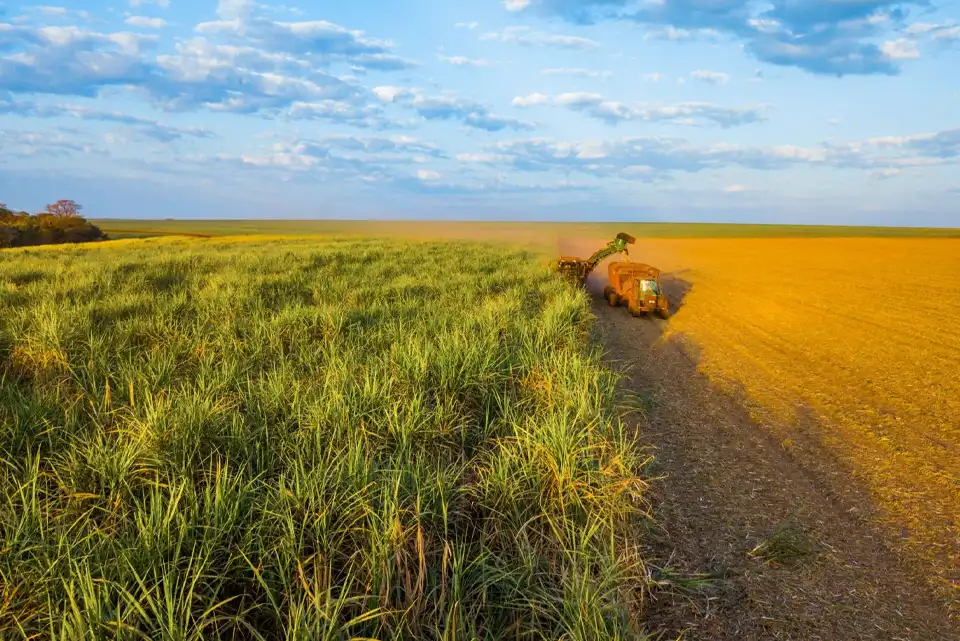 From Fossil Fuels to the Bioeconomy: The Case for Biobased Plastics