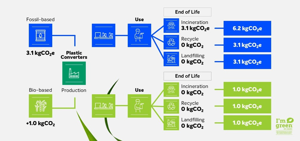 Infographic about biogenic carbon accounting