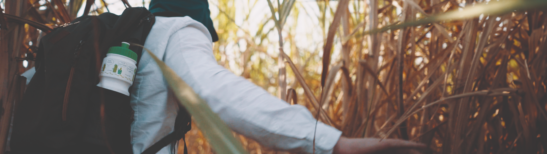 Allbirds and I'm green™
    bio-based journey to the M0.0N