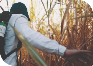 Bottle Up eliminates single-use water bottles while tackling climate change