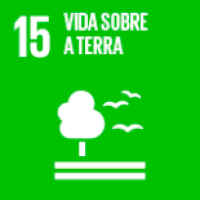 Vida sobre a terra