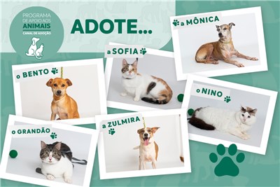 noticia